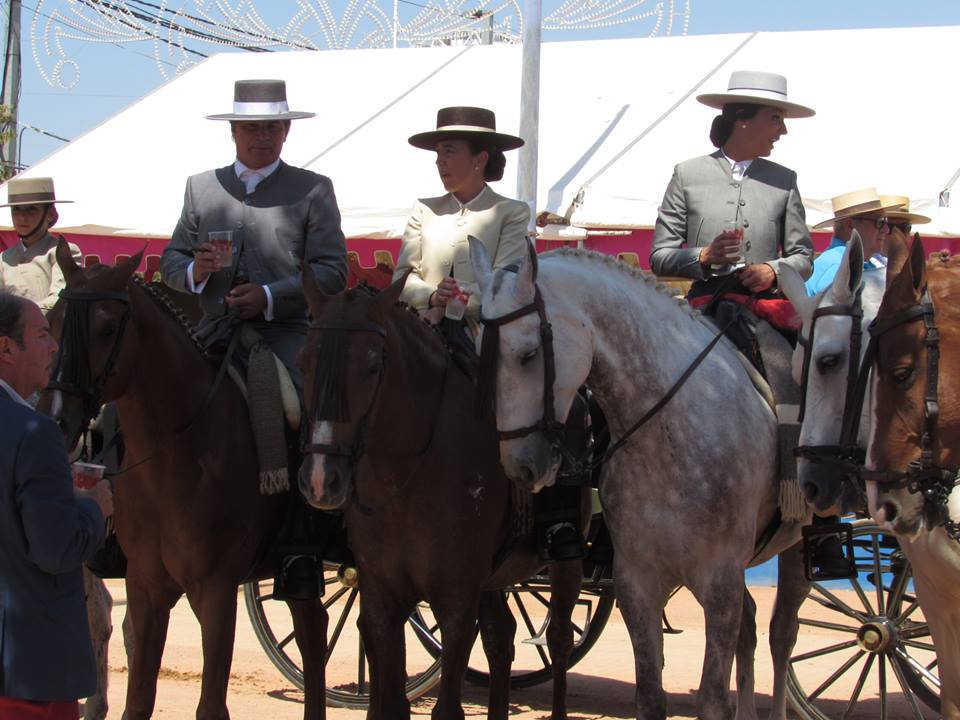 11390206_1013852278639505_6488029087377123038_n