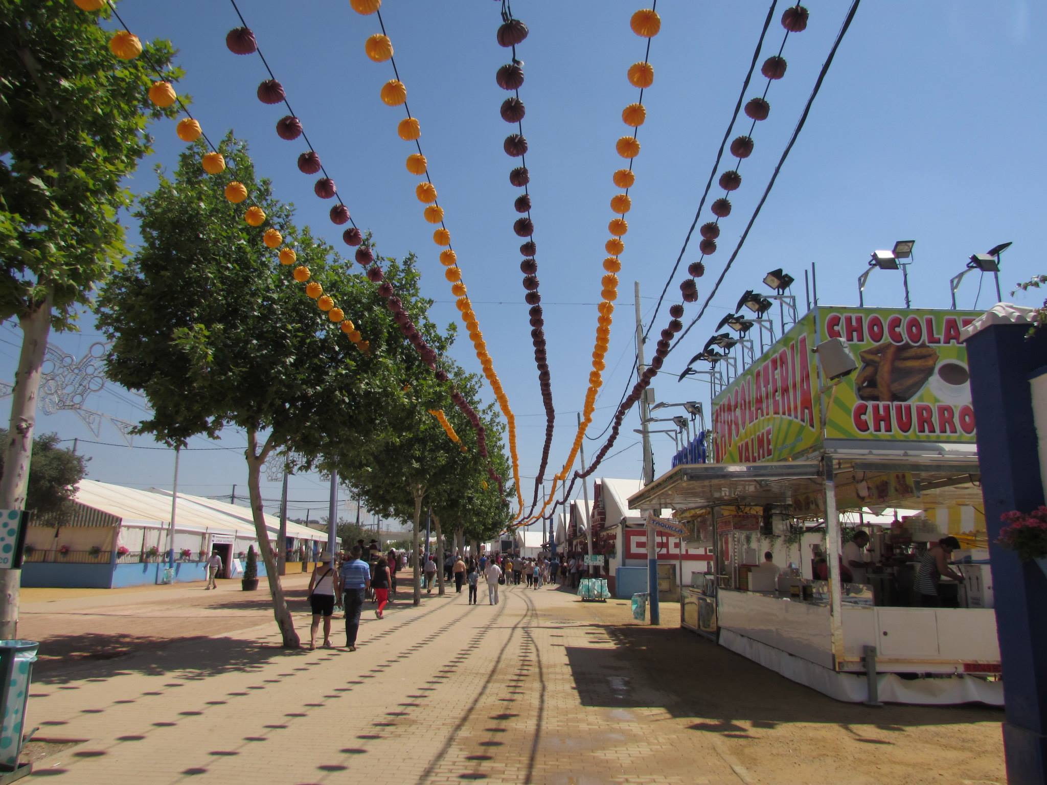 11425718_1013852311972835_2467057783813844699_o