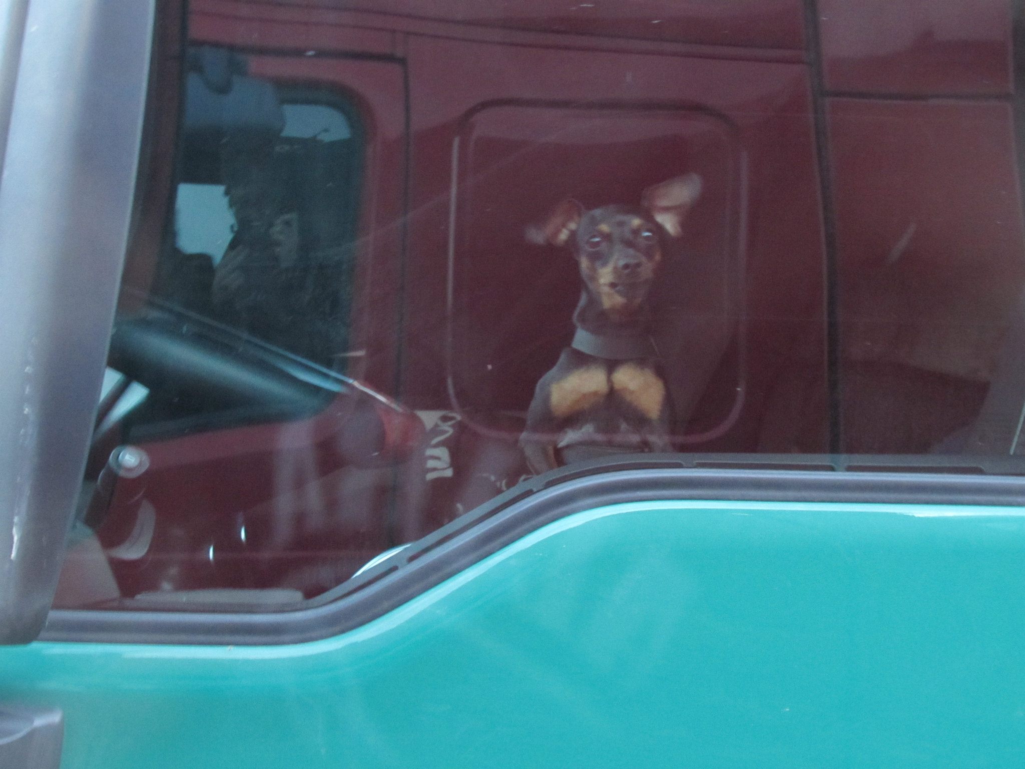 Najvtipnejšie momenty za rok 2015 ;)