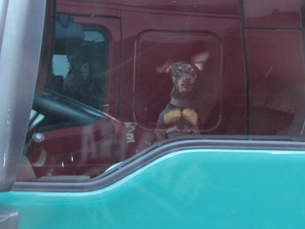 Najvtipnejšie momenty za rok 2015&nbsp;;)