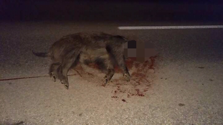 2017-05-27-22-56-36-331