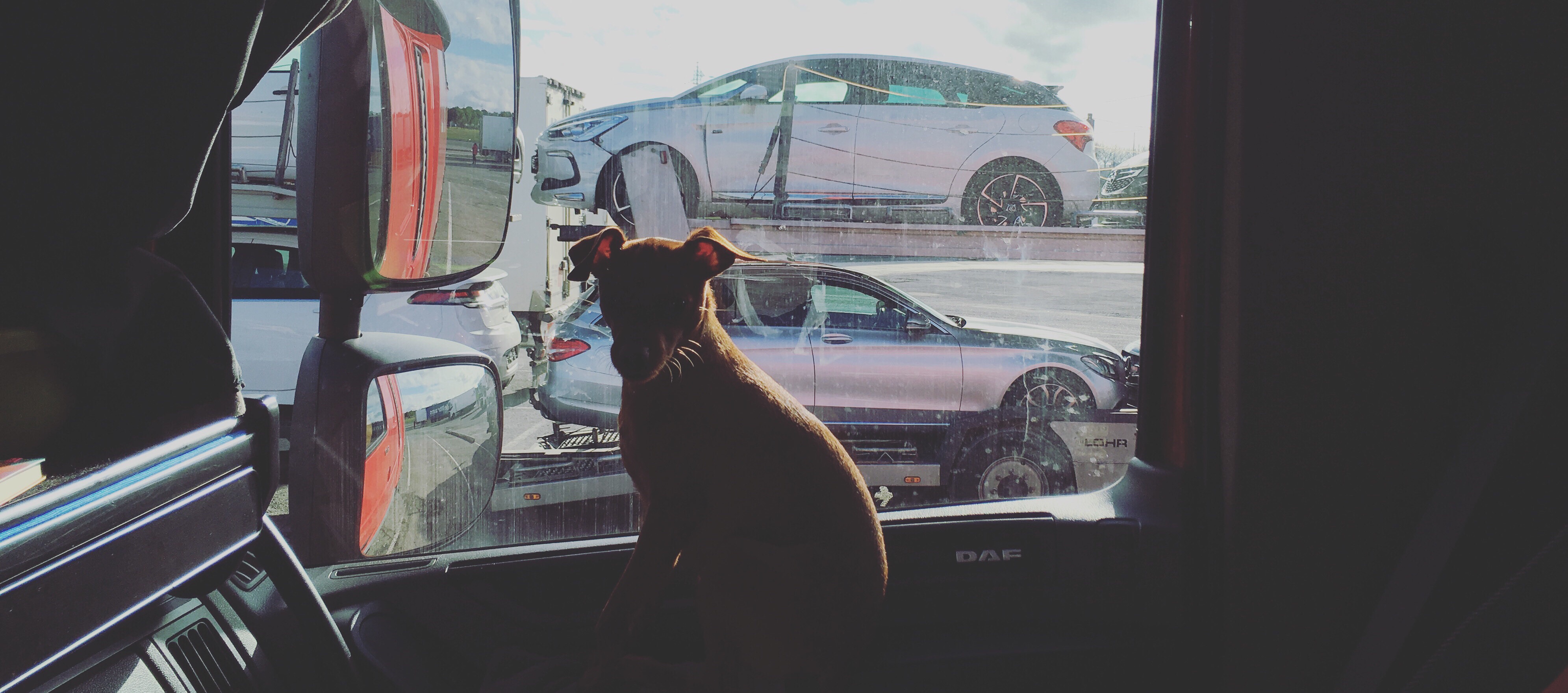 10 benefitov vodiča MKD