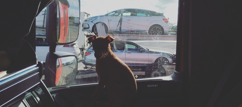 10 benefitov vodiča&nbsp;MKD